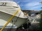 1995 Sea Ray Sundancer