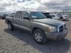 2007 Dodge Dakota Quad SLT