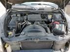 2005 Dodge Dakota Quattro