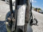 2006 Genuine Scooter Co. Buddy 125