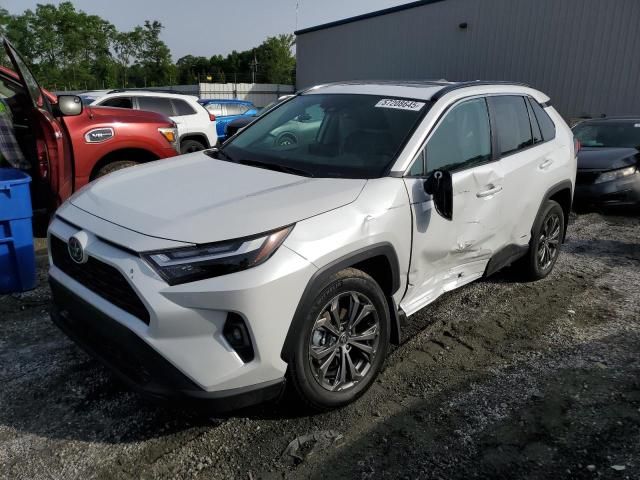 2024 Toyota Rav4 XLE Premium