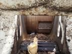 2015 Other 2015 Bandit 1390 Wood Chipper