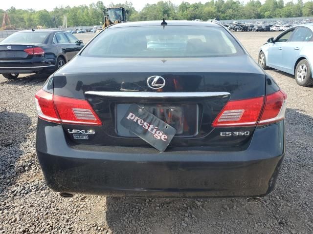 2010 Lexus ES 350