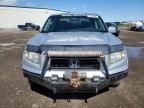 2006 Honda Ridgeline RTL