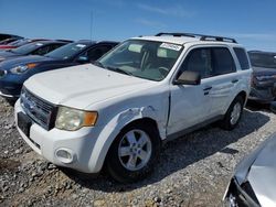 2009 Ford Escape XLT for sale in Madisonville, TN
