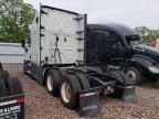 2019 Freightliner Cascadia 126 Semi Truck