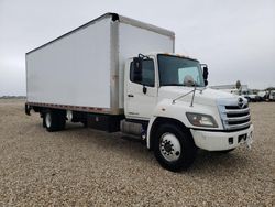 Hino 258/268 salvage cars for sale: 2015 Hino 258 268