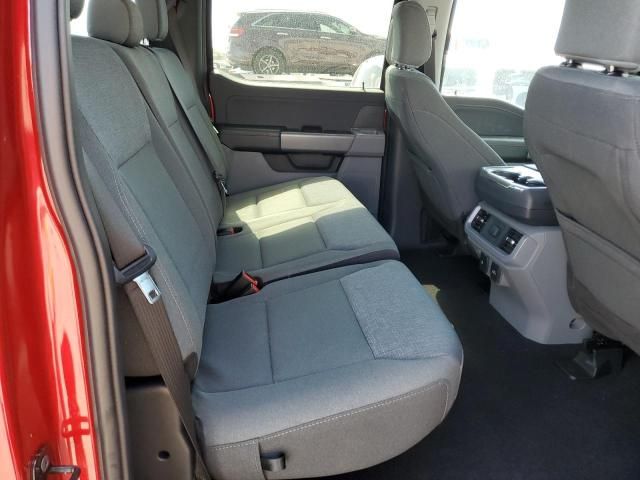 2024 Ford F150 XLT