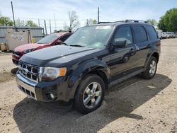 2010 Ford Escape Limited for sale in Lansing, MI