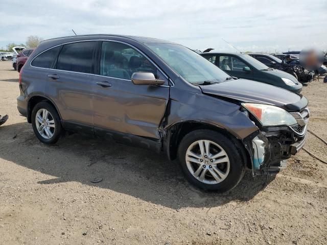 2010 Honda CR-V EXL