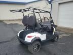 2024 Golf Cart Cart