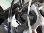 2020 Triumph Street Triple RS