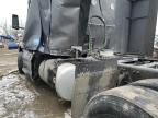 2023 Peterbilt 579