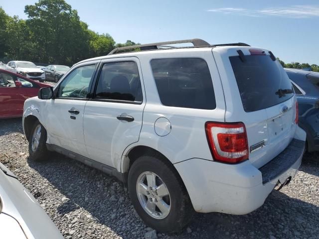 2009 Ford Escape XLT