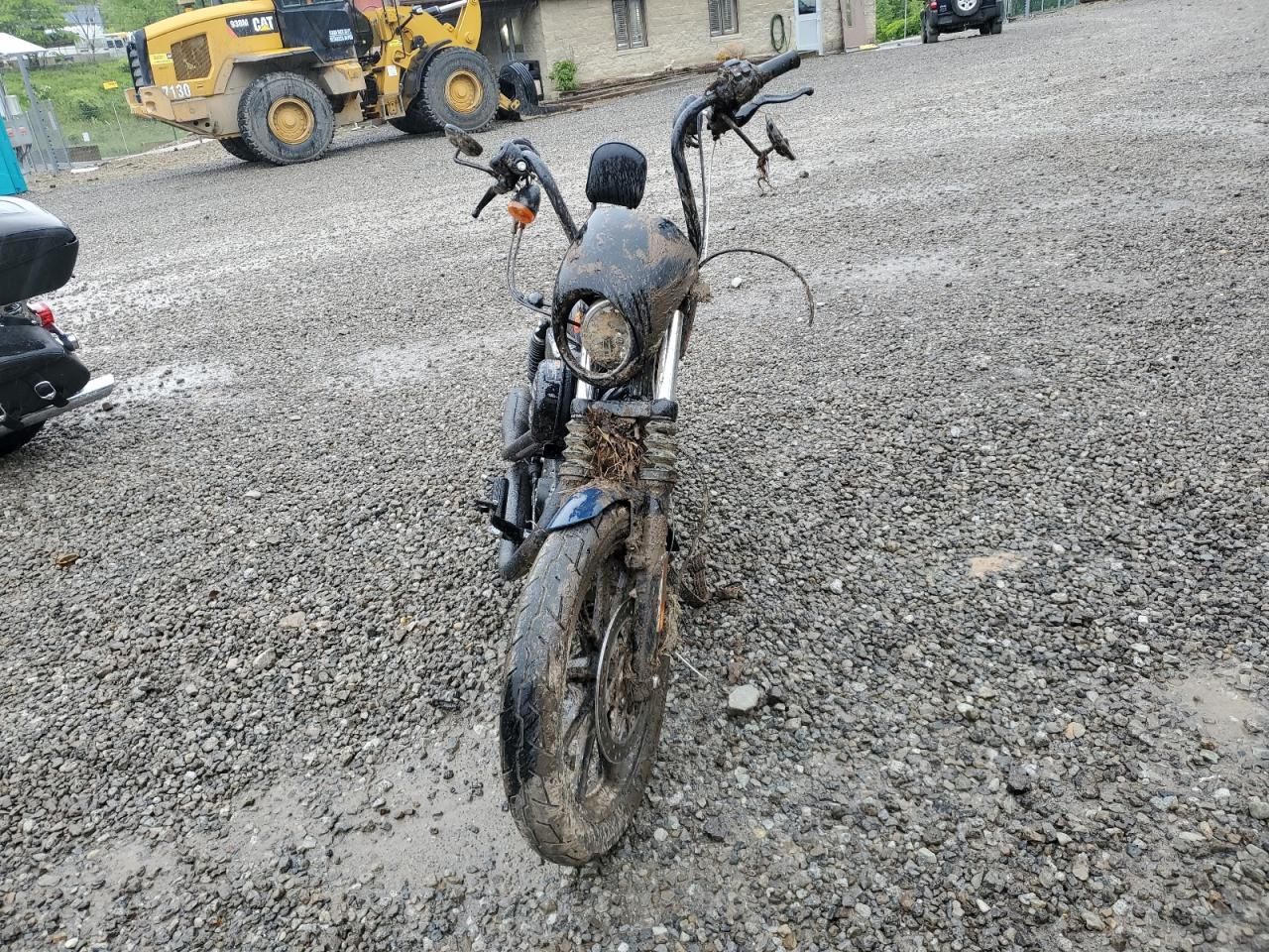 2020 Harley-Davidson XL1200 NS