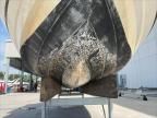 2022 Other 2022 'OTHER BOAT' VR6 BR(*)