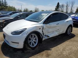 2023 Tesla Model Y for sale in Bowmanville, ON