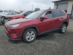 Salvage cars for sale from Copart Eugene, OR: 2021 Toyota Rav4 XLE