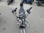 2007 Harley-Davidson XL1200 50TH Anniversary