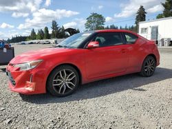 Scion salvage cars for sale: 2014 Scion TC