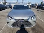 2020 Lexus ES 300H
