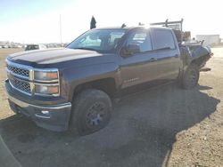 Salvage trucks for sale at San Diego, CA auction: 2014 Chevrolet Silverado C1500 LT