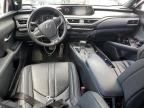 2019 Lexus UX 200
