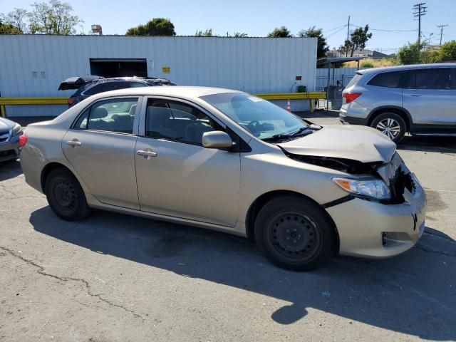 2010 Toyota Corolla Base