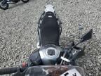 2019 Kawasaki KLE300 B