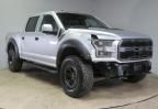 2017 Ford F150 Raptor