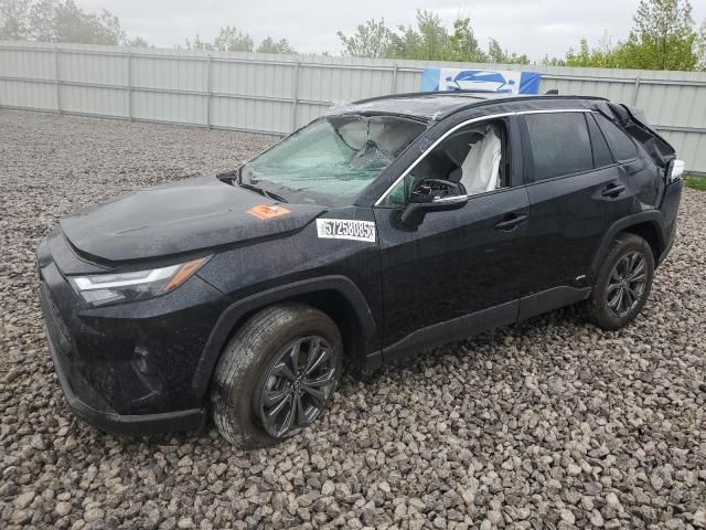 2024 Toyota Rav4 XLE Premium