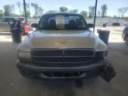 2002 Dodge Dakota Base