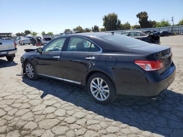 2010 Lexus ES 350