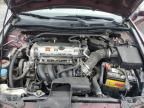 2010 Honda Accord EX