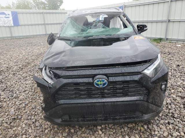2024 Toyota Rav4 XLE Premium