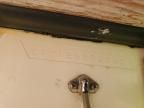 1990 Correct Craft Boat With Trailer