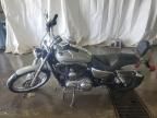 2006 Harley-Davidson XL1200 C