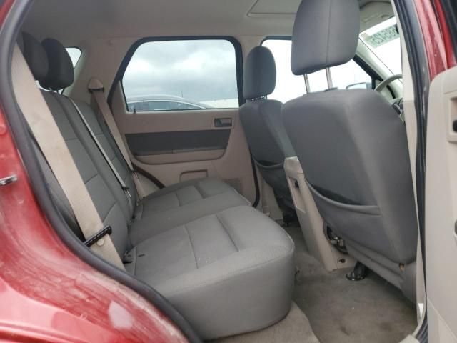 2010 Ford Escape XLT