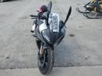2024 Cf Moto 300SS