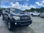 2009 Toyota Tacoma Access Cab