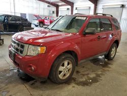 Salvage trucks for sale at Avon, MN auction: 2011 Ford Escape XLT