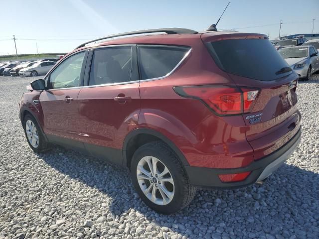 2019 Ford Escape sel