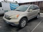 2007 Honda CR-V EXL