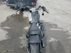2020 Harley-Davidson Flsl