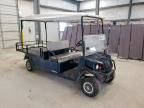 2021 Golf Cart Cart