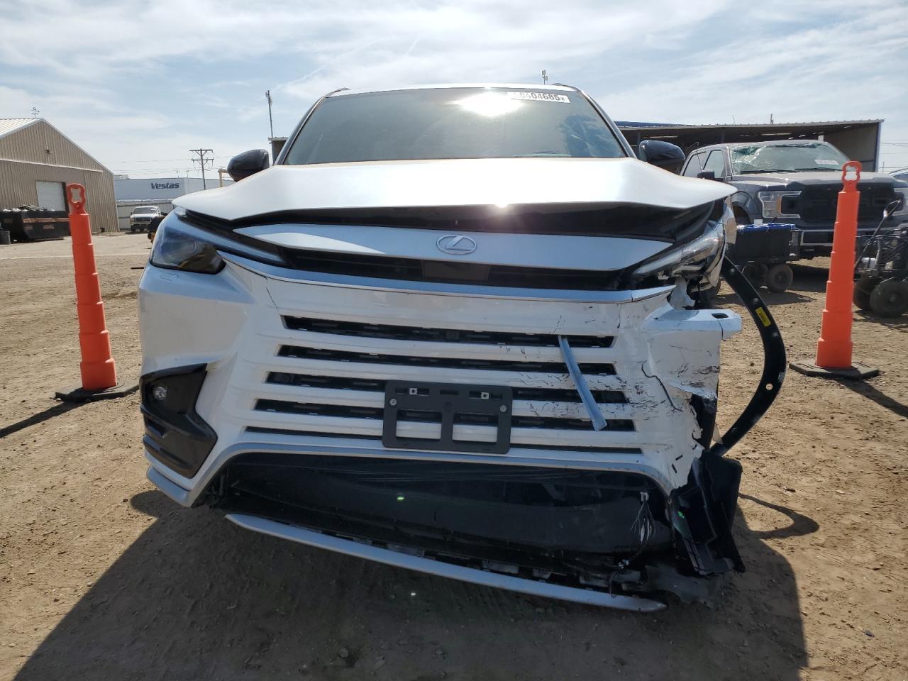 2024 Lexus Tx 500h f Sport Premium