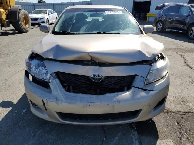 2010 Toyota Corolla Base