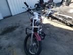 2004 Harley-Davidson XL1200 C
