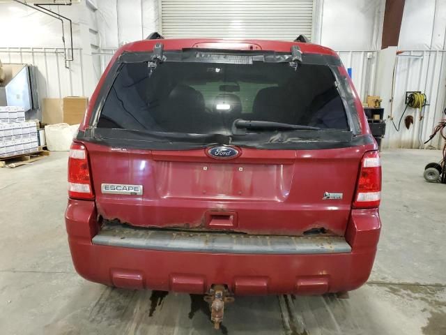 2011 Ford Escape XLT