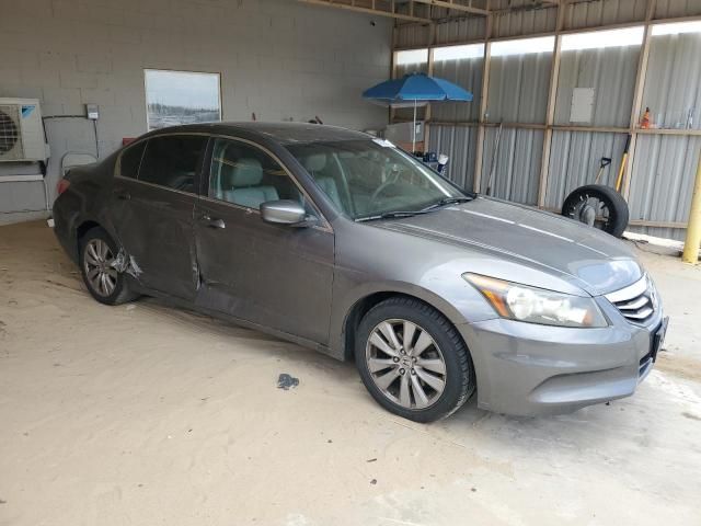 2011 Honda Accord EXL